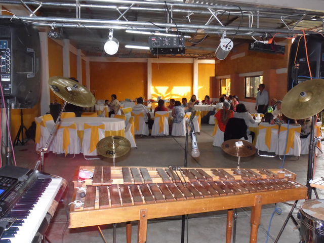 TropiMarimba,