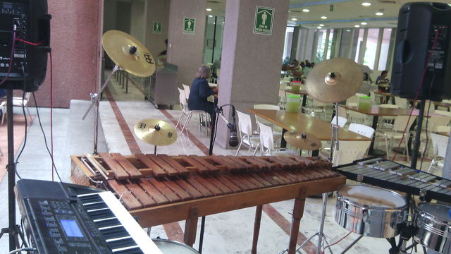 Marimba Moderna antes de Tocar